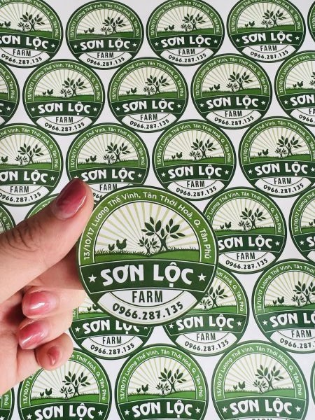 in decal tem nhãn quận tân bình
